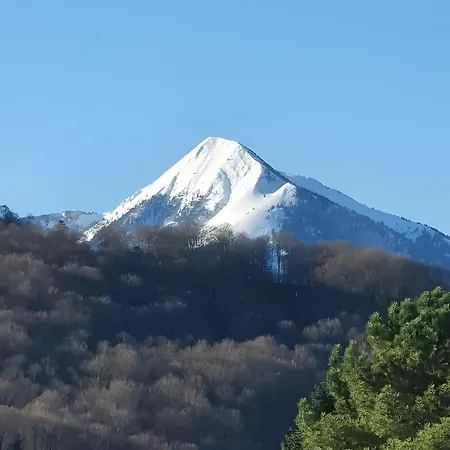 Au Fil De L'eau Chein-Dessus