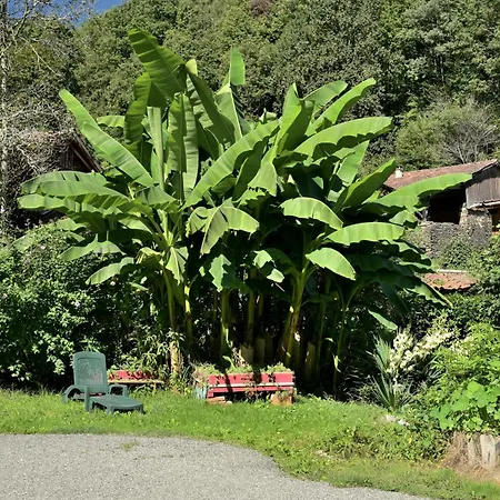 Vakantiehuis Au Fil De L'eau